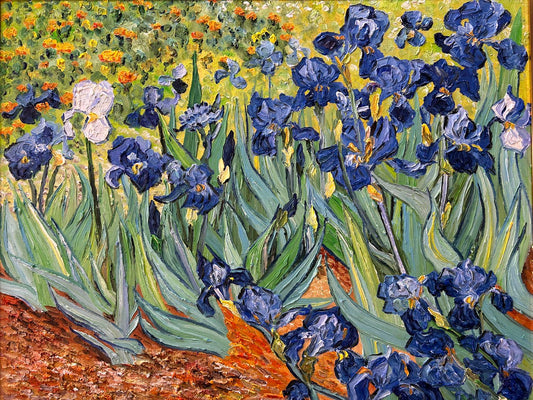 Irises